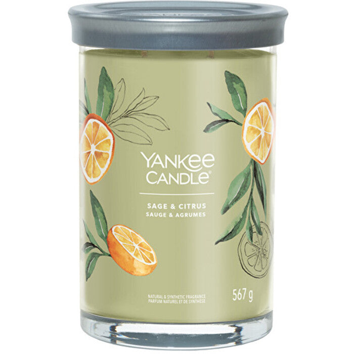 „Yankee Cirle Sage & Citrus Signature“ žvakė stiklinėje (šalavijų ir citrusinių vaisių)