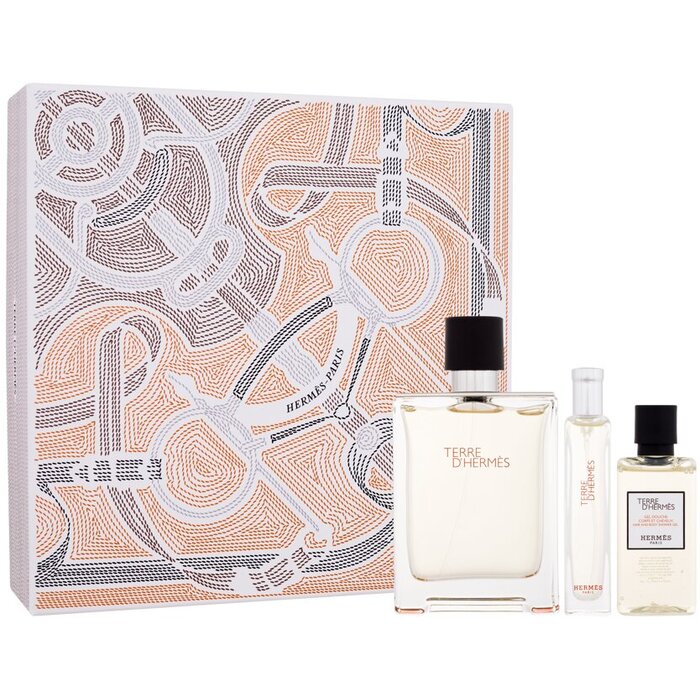 Hermes Terre d'Hermes Gift set EDT 100 ml, miniature EDT 15 ml and shower gel 40 ml