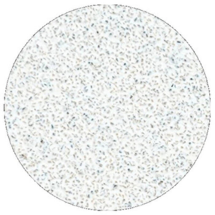 „Staleks Pro L Grit 80“ balti pedikiūro disko papildymo pagalvėlės - pedikiūro disko pakaitinis švitrinis popierius, 50 vnt.