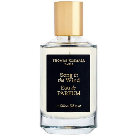 Thomas Kosmala Song In The Wind EDP
