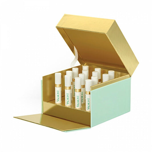 Valmonto intensyviosios terapijos laiko magistrantūros intensyvi programa