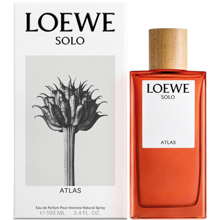 Loewe Solo Atlas EDP